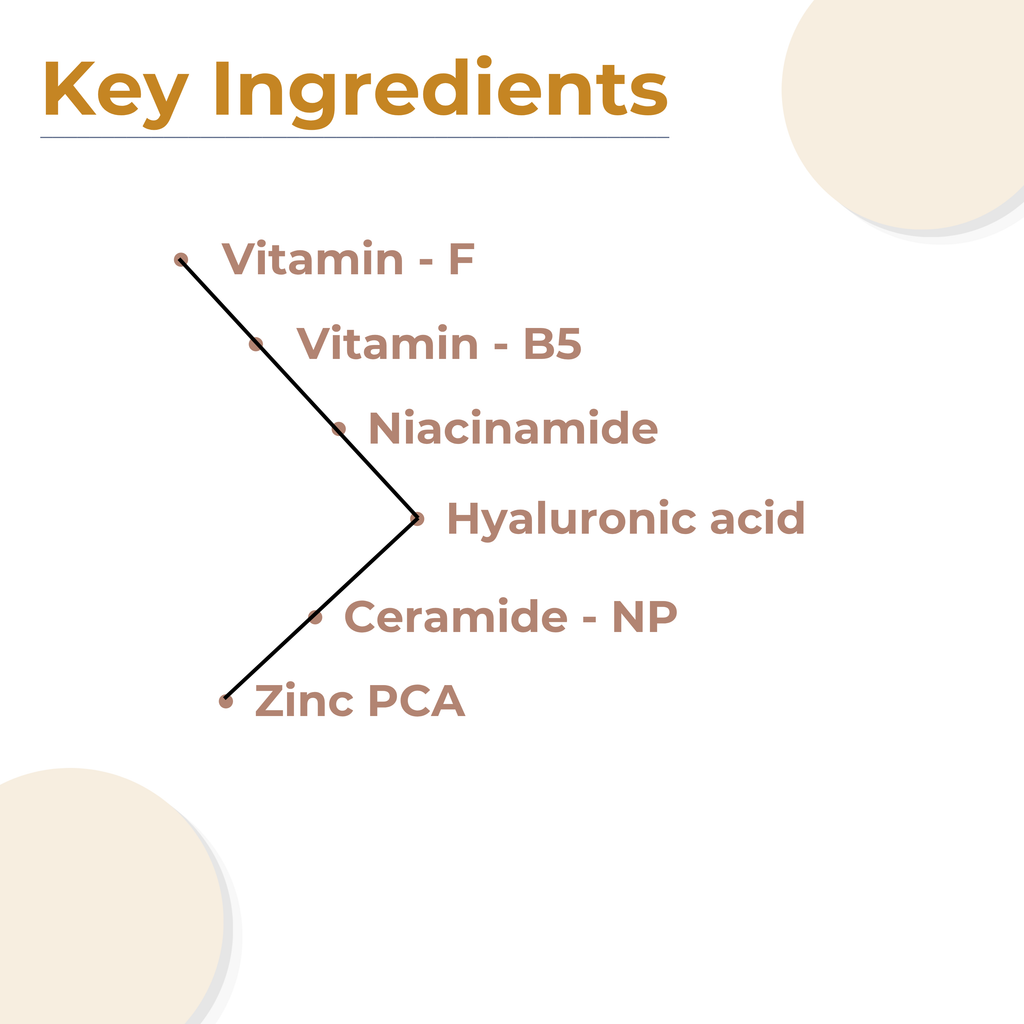 High-performance active ingredients in the ReachHabits sunscreen: Vitamin F, Vitamin B5, Niacinamide, Hyaluronic Acid, Ceramide NP, and Zinc PCA.
