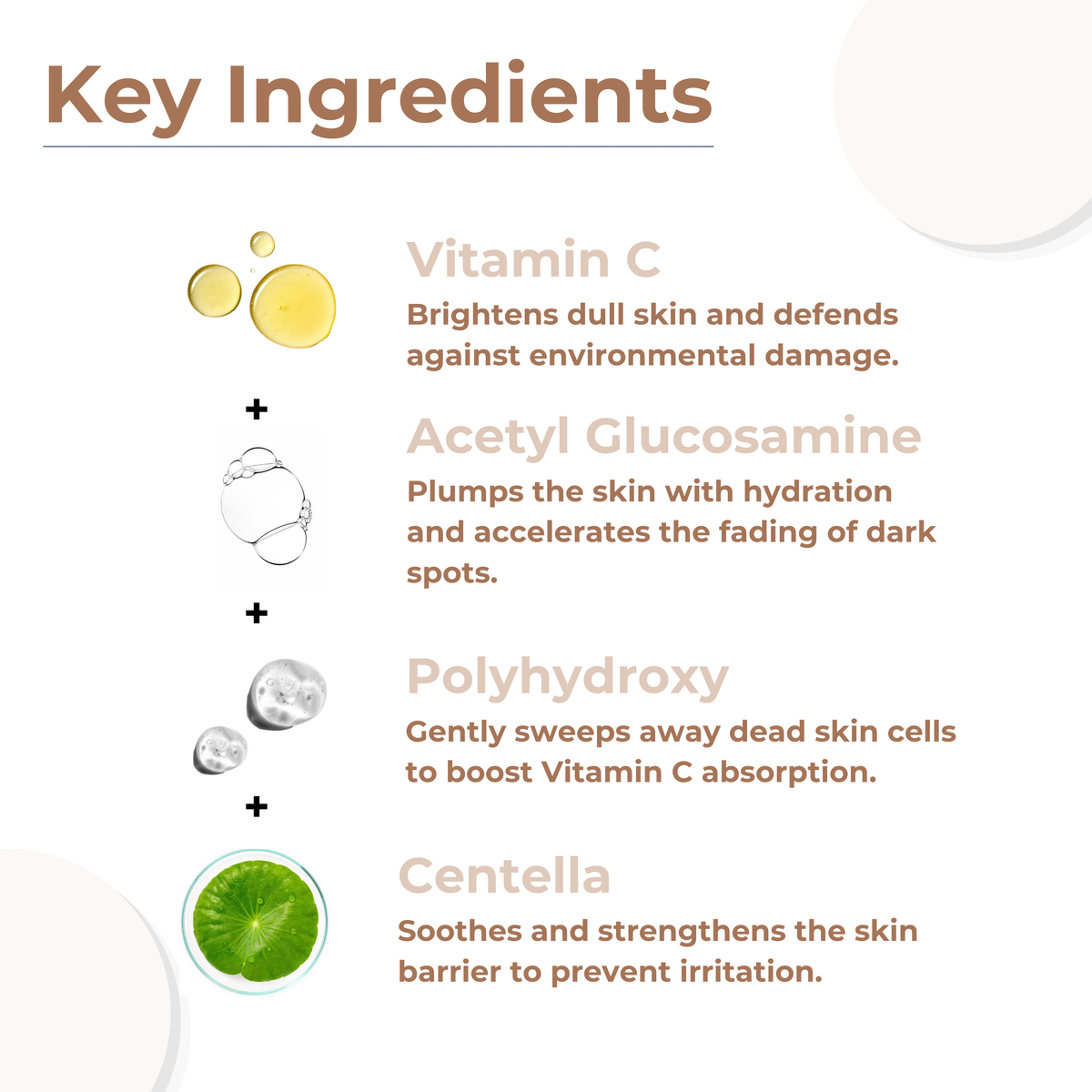 Key ingredients in ReachHabits Vitamin C serum: brightening Vitamin C, plumping Acetyl Glucosamine, exfoliating Polyhydroxy, and soothing Centella.